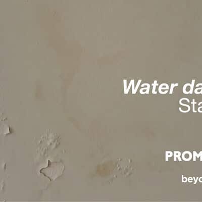 Damp Walls? Fix the Cause First