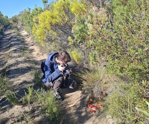 International Scientists Study Rare Parasitic Plant at Grootbos