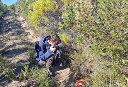 International Scientists Study Rare Parasitic Plant at Grootbos