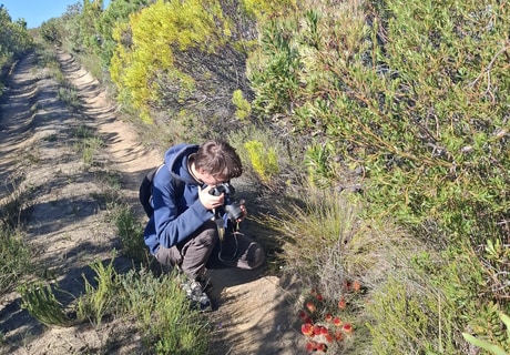 International Scientists Study Rare Parasitic Plant at Grootbos