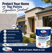 Top Paints Signature Sandcoat
