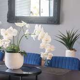 Dining Room - Mattanja - Assisted Living for the Elderly - Xplorio™ Gansbaai