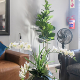 Flowers in Living Room - Mattanja - Assisted Living for the Elderly - Xplorio™ Gansbaai