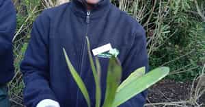 Horticulture Students Learn Landscaping and Clivia Propagation