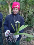 Horticulture Students Learn Landscaping and Clivia Propagation