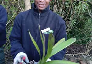 Horticulture Students Learn Landscaping and Clivia Propagation