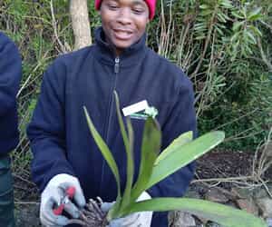 Horticulture Students Learn Landscaping and Clivia Propagation