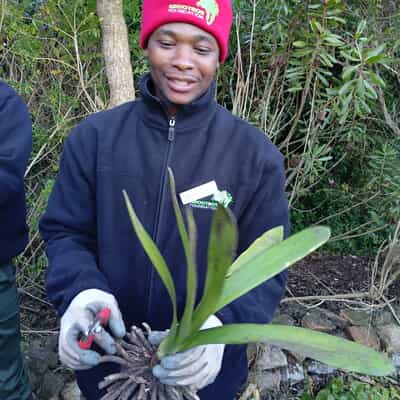 Horticulture Students Learn Landscaping and Clivia Propagation
