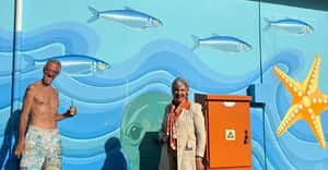 Another Harbour Mural Completed!