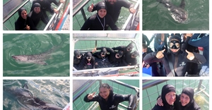 Daily Blog: 25 June 2026 | Shark Cage Diving in South Africa