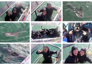 Daily Blog: 25 June 2026 | Shark Cage Diving in South Africa