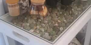 Fynbos_Room_5_1_1782737064
