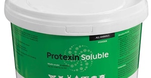 Support Your Pet's Gut Health