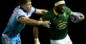 Springboks vs Scotland - Live at La Cantina Stanford!