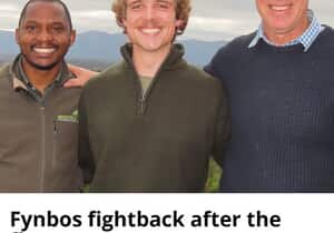 Rise of the Fynbos: Restoring the Overberg After the Fires