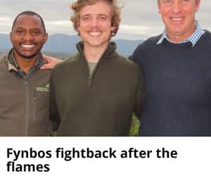 Rise of the Fynbos: Restoring the Overberg After the Fires