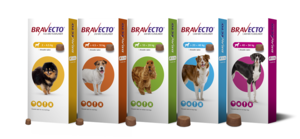 All Bravecto Products Available at The Pet Grocer Gansbaai