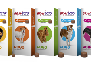 All Bravecto Products Available at The Pet Grocer Gansbaai