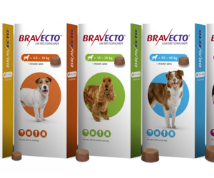 All Bravecto Products Available at The Pet Grocer Gansbaai