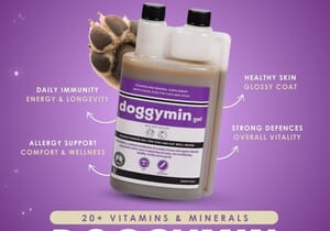Support Your Dog's Health Every Day with DoggyMin