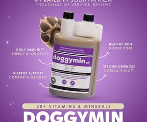 Support Your Dog's Health Every Day with DoggyMin
