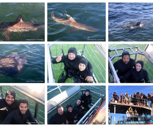Daily Blog: 07 July 2026 | Shark Cage Diving in South Africa
