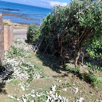 Interprise - Garden and Lawn - Xplorio™ Gansbaai