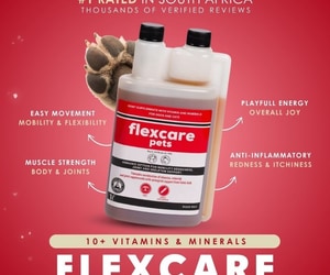 FlexCare Pets Available at The Pet Grocer, Gansbaai