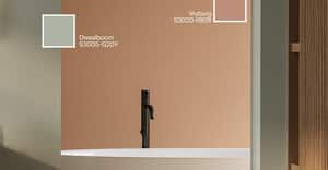 Painting Your Bathroom? Choose the Right Paint!
