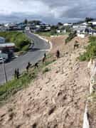 Growing Skills, Beautifying Gansbaai