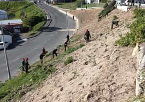 Growing Skills, Beautifying Gansbaai