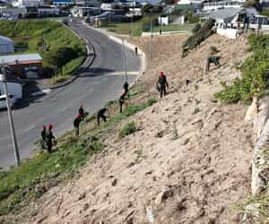 Growing Skills, Beautifying Gansbaai