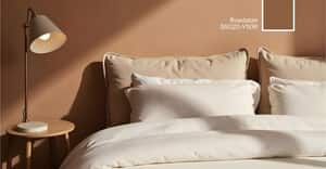 Refresh Your Home This Winter with Prominent Paints