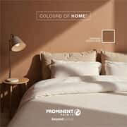 Refresh Your Home This Winter with Prominent Paints