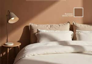 Refresh Your Home This Winter with Prominent Paints