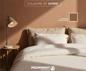 Refresh Your Home This Winter with Prominent Paints