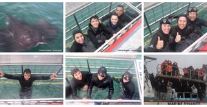 Daily Blog: 15 July 2026 | Shark Cage Diving in South Africa