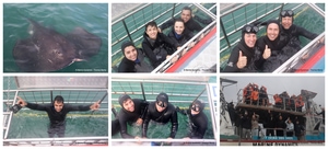 Daily Blog: 15 July 2026 | Shark Cage Diving in South Africa