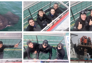 Daily Blog: 15 July 2026 | Shark Cage Diving in South Africa