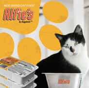 Healthy Raw Cat Food | Doggobone Alfie's Only R20