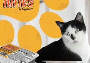 Healthy Raw Cat Food | Doggobone Alfie's Only R20