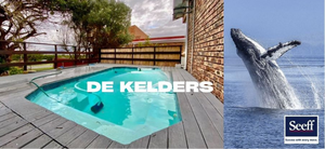 R3,250,000: 3 Bedroom Freestanding For Sale in De Kelders
