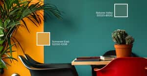 Feature Wall Ideas