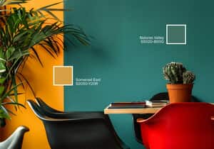 Feature Wall Ideas