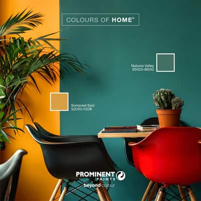 Feature Wall Ideas