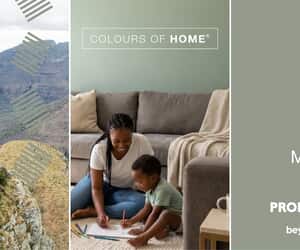 Prominent Paints at Wilkoo