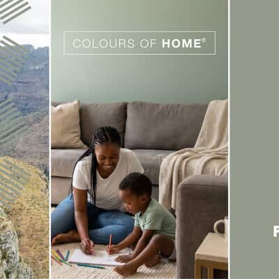 Prominent Paints at Wilkoo