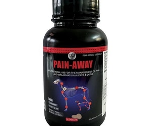Vets Own Pain-Away Tablets for Dogs and Cats