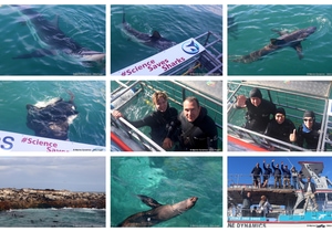 Daily Blog: 21 July 2026 | Shark Cage Diving in South Africa