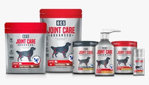 Keep Your Dog Moving with GCS Joint Care Advanced